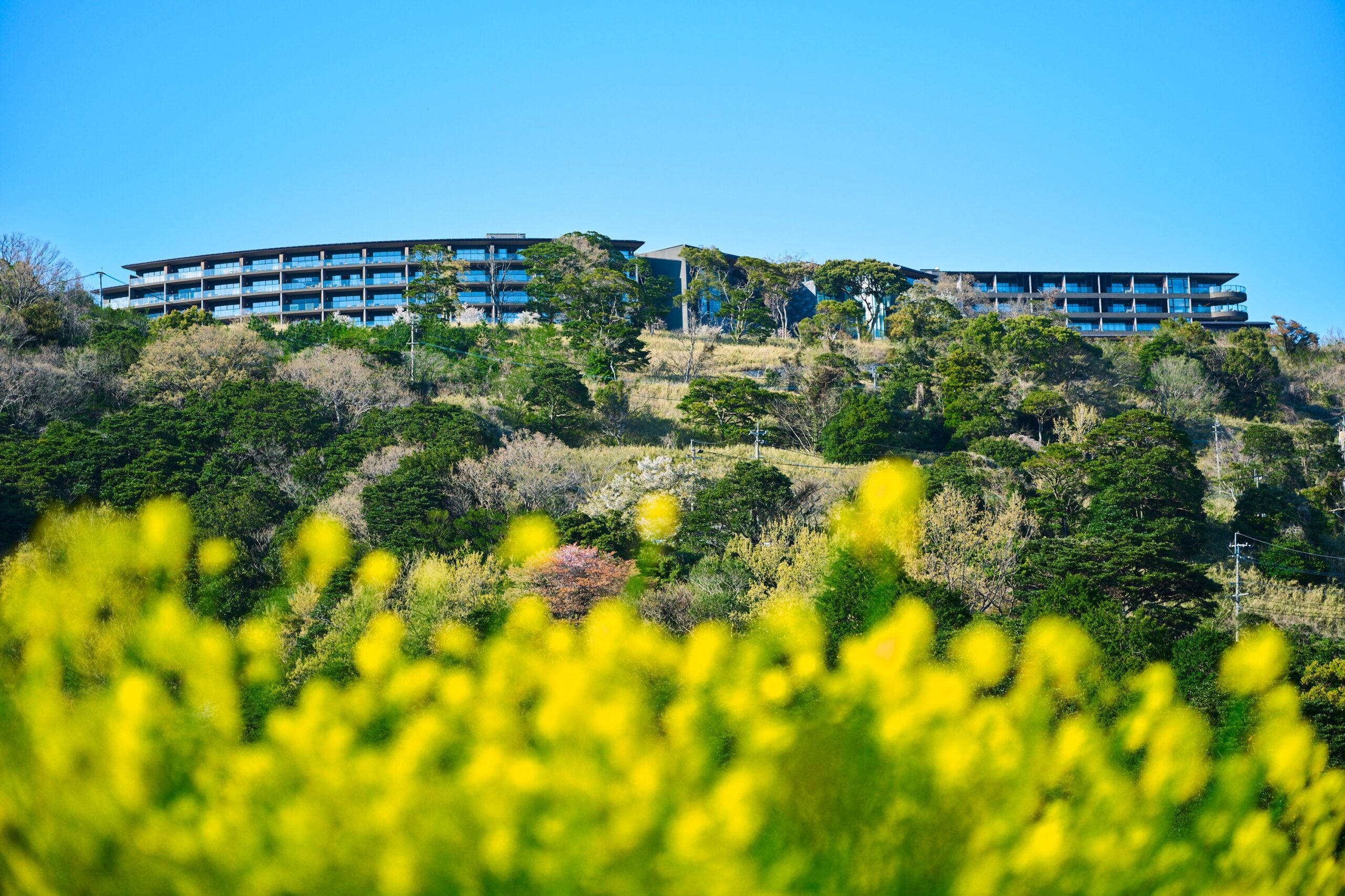 【春の24時間ステイ】穏やかな日差しの中で上質な癒しに身をゆだねるリトリートプラン